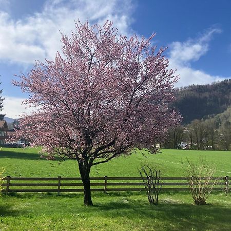 Open Garden Mountain Lodge Oberaudorf Extérieur photo